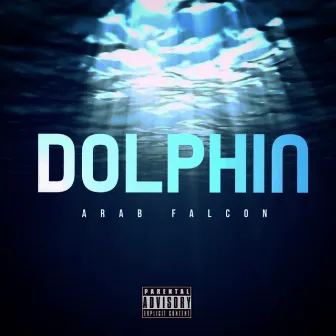 Dolphin by Arab Falcon