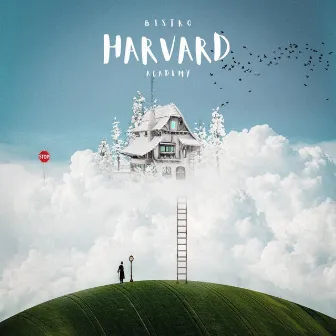 Harvard Academy by Bistro