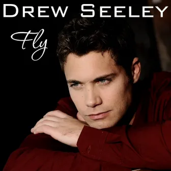 Fly by Drew Seeley