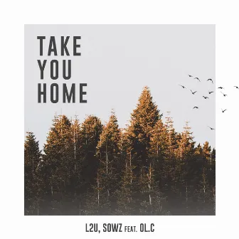 Take You Home by L2U