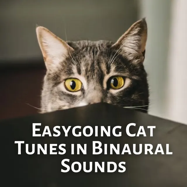 Easygoing Cat Tunes in Binaural Sounds