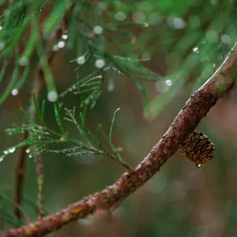 Rainy Day for Quick Nap by YT Sounds for Sleep