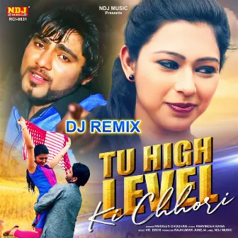 Tu High Level Ki Chhori (Dj Remix) by Parveen Chouhan