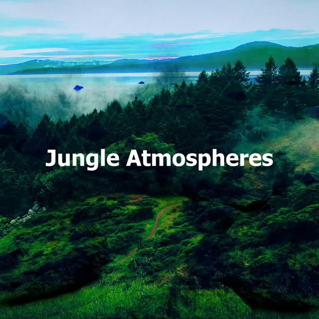 Jungle Atmospheres