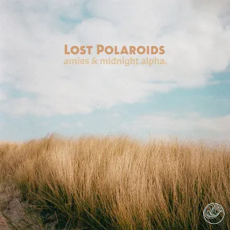 Lost Polaroids by amies