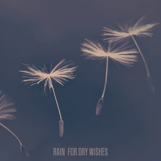 Rain for dry wishes