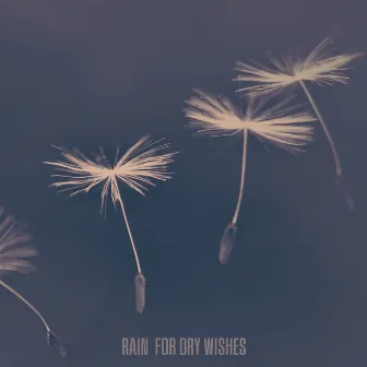 Rain for dry wishes by Gal Dahan