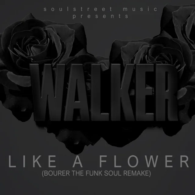 Like A Flower (Bourer The Funk Soul Remakes)