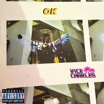 OK by Vice Charles