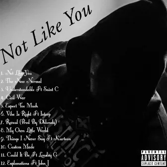 Not Like You by Stotty P