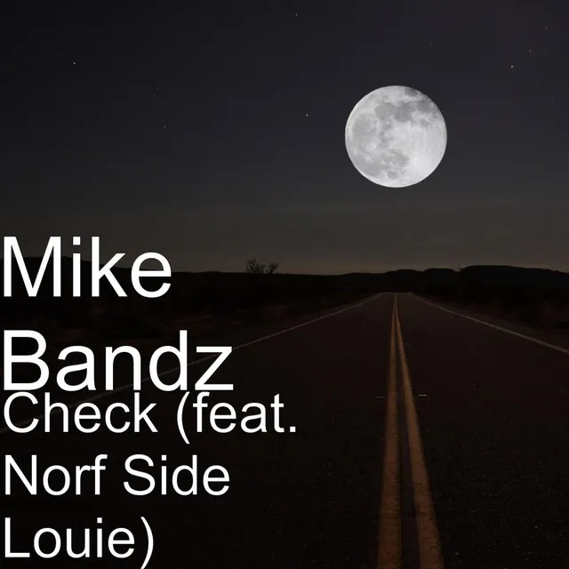 Check (feat. Norf Side Louie)