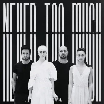 Never Too Much by Vittoria and the Hyde Park