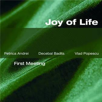 Joy Of Life - First Meeting by Decebal Badila