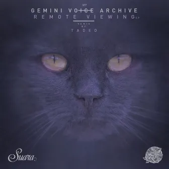 Remote Viewing EP by Gemini Voice Archive