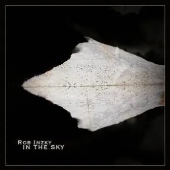 In the Sky by Rob Inzky