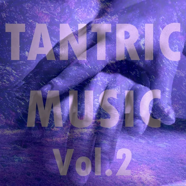 Tantric Music, Vol. 2