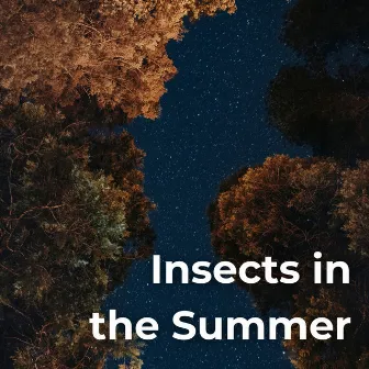 Insects In The Summer by Nature Sounders