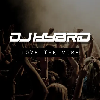 Love The Vibe by DJ Hybrid