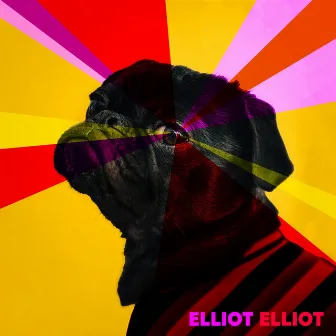 You Learn a Lot More Being Nice by Elliot Elliot