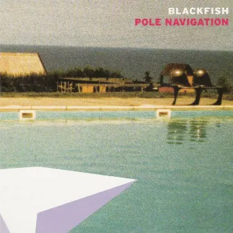 Pole Navigation by Blackfish