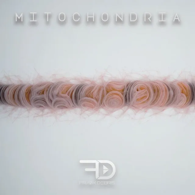 Mitochondria