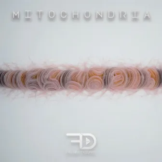 Mitochondria by Frank Debris