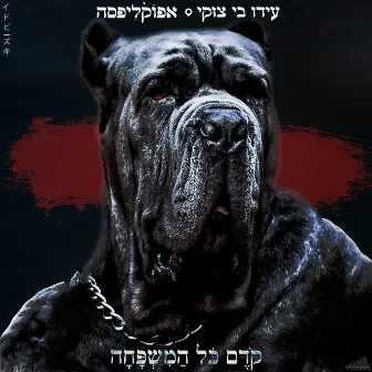 קודם כל המשפחה by Ido B & Zooki