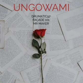 Ungowami by Façade 101