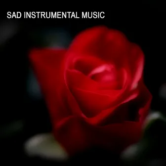 Sad Instrumental Music - Instrumental Music Songs by Instrumental Music Academy