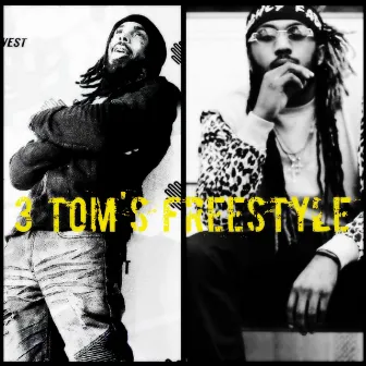 3 Tom's Freestyle by Rudeboy Voo