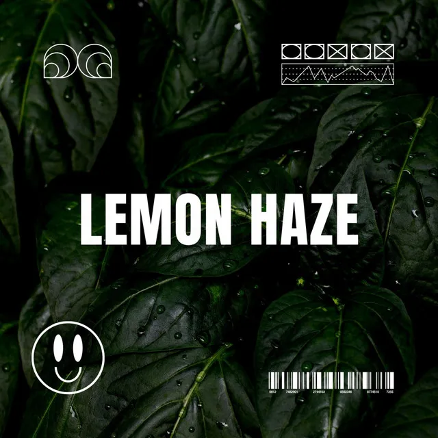 Lemon Haze