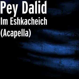 Im Eshkacheich (Acapella) by Pey Dalid