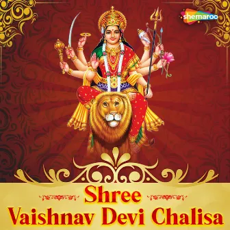 Shree Vaishnav Devi Chalisa by Ashwani Kumar