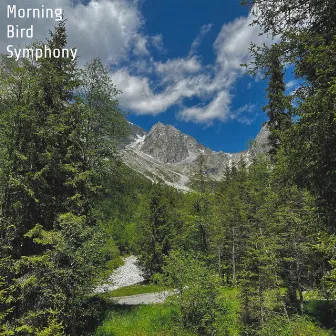 Morning Bird Symphony by Aqua Sound