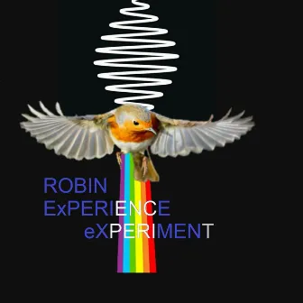 Robin Experience eXperiment by Robin