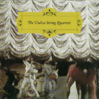 Out Of Sight by Vulva String Quartett