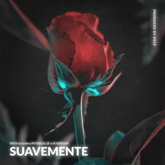 Suavemente by Ds19