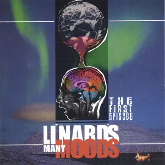 Li'Nards Many Moods: The First Episode by Li'Nard