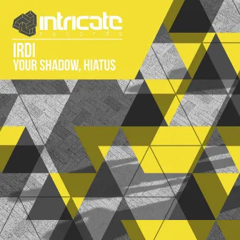 Your Shadow, Hiatus by Irdi