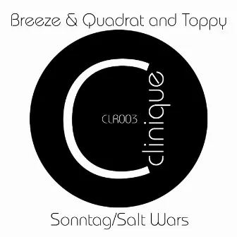 Sonntag/Salt Wars by Toppy