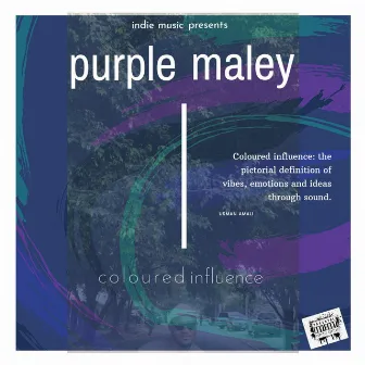 Coloured Influence by Purple Maley