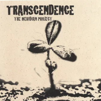 The Meridian Project by Transcendence