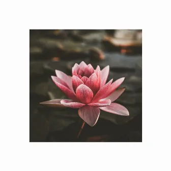 lotus. by Nosleep.