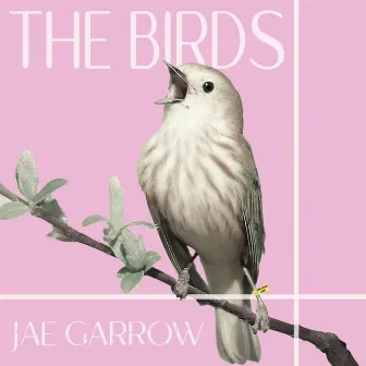 The Birds by Jae Garrow