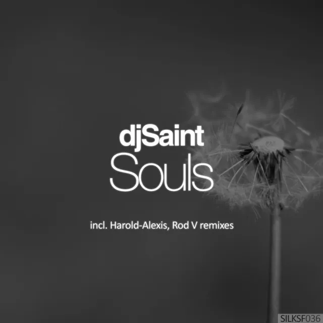 Souls - Harold-Alexis Remix