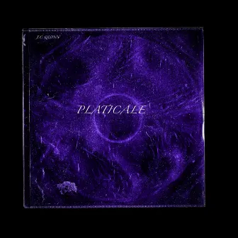 PLATICALE by J.C QUINN