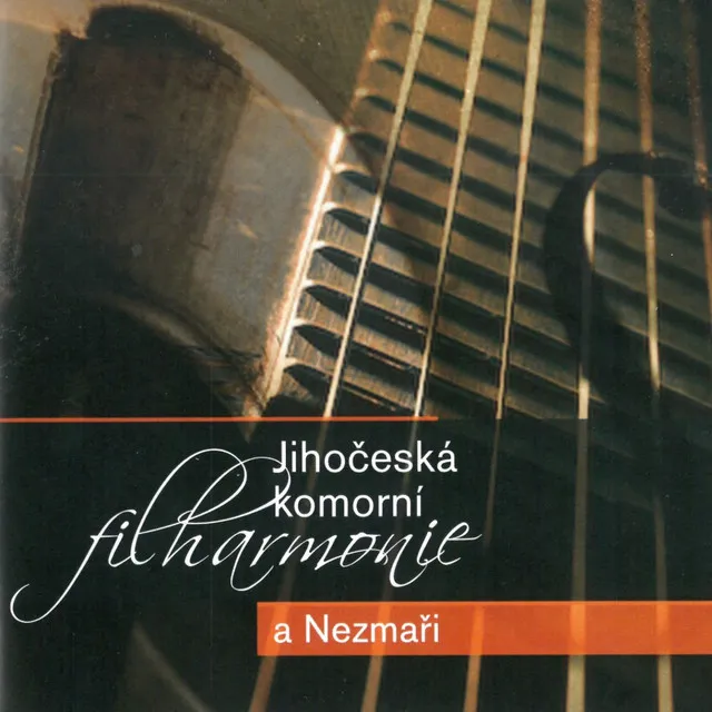 Jihočeská Komorní Filharmonie A Nezmaři (Live)