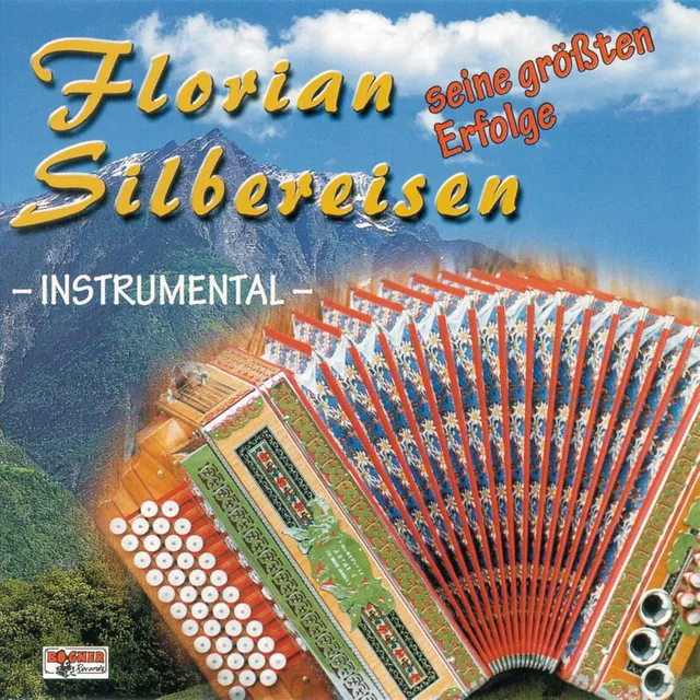 Seine größten Erfolge - Instrumental