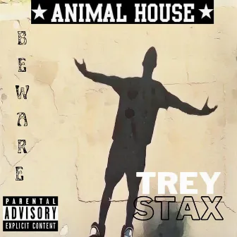 Beware (Radio Edit) by Trey Stax