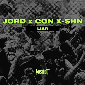 Liar by CON X-SHN